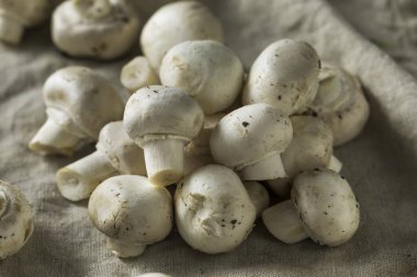 Ham organik beyaz düğme mantar bir grup