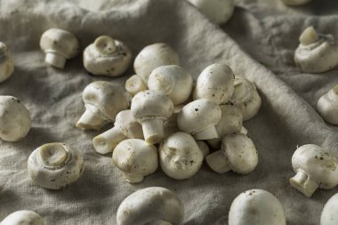 Ham organik beyaz düğme mantar bir grup