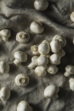 Ham organik beyaz düğme mantar bir grup