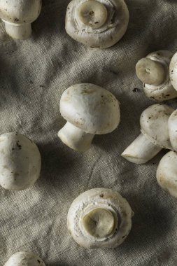 Ham organik beyaz düğme mantar bir grup