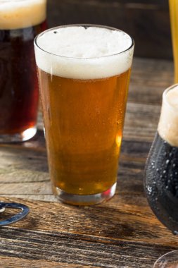 Ferahlatıcı soğuk zanaat bira çeşitlilikte Ipa Lager ve yiğit