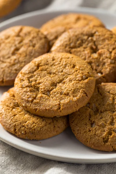 Hemmagjord Ginger Snap Cookies Redo Att Äta — Stockfoto