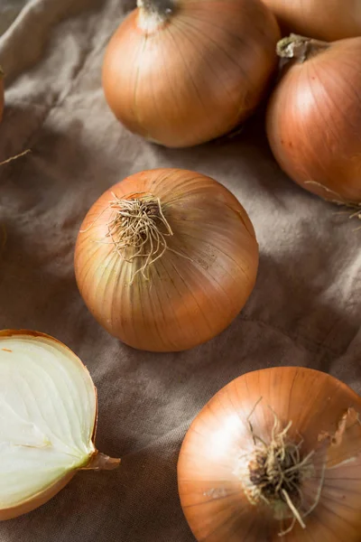 Surové Organické Žlutá Sladká Cibule Připravena Kuchařka — Stock fotografie