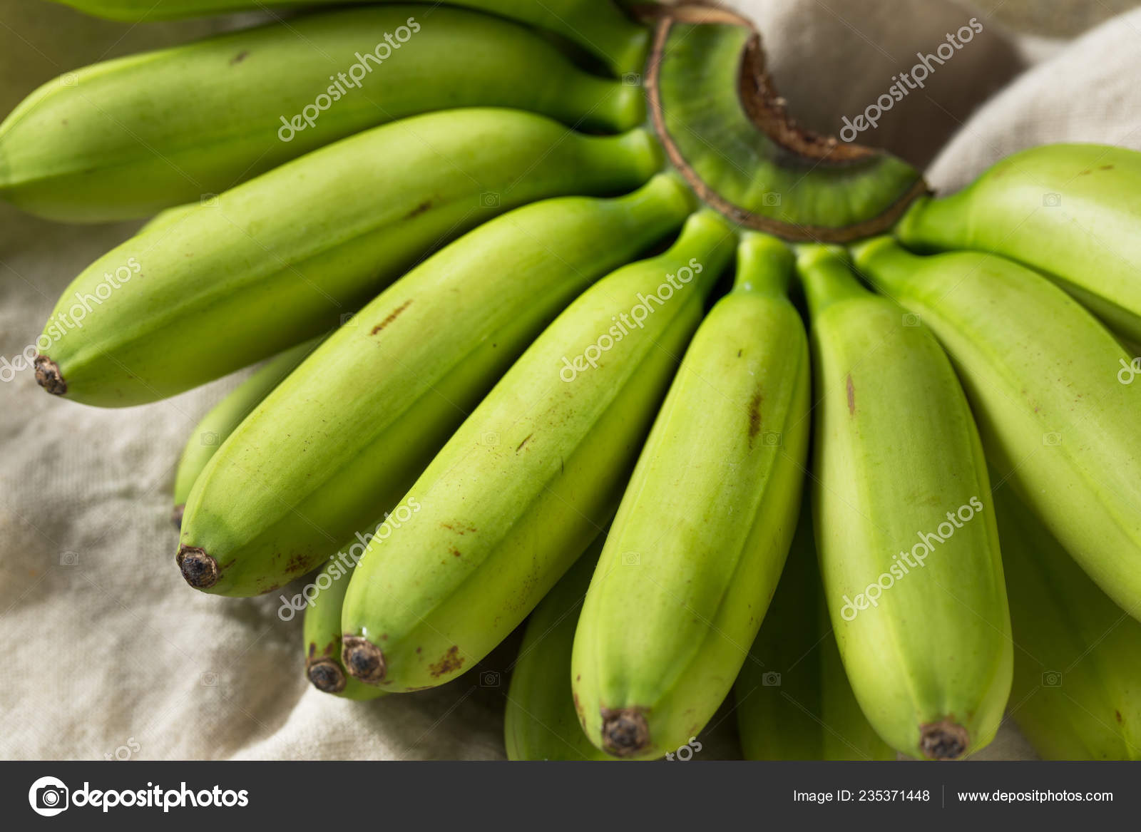 Bebe Banane Verte Crue Biologique Non Mure Grappe Image Libre De Droit Par Bhofack2 C