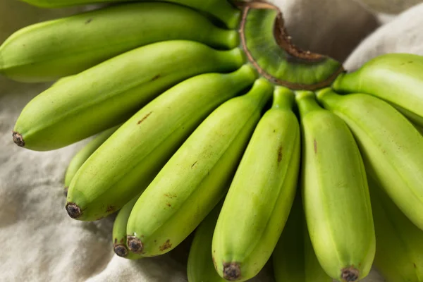 Nyers Szerves Éretlen Zöld Baba Egy Csomó Banán — Stock Fotó