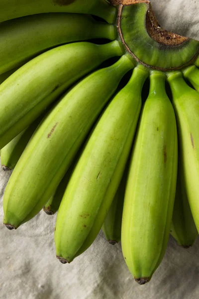 Органические Незрелые Зеленые Бананы Пучке — стоковое фото