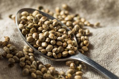 Organik kavrulmuş kenevir tohumu