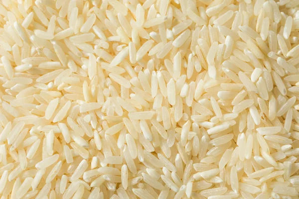 Сухой сырой органический белый рис — стоковое фото
