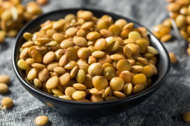 Ham organik taze mercimek