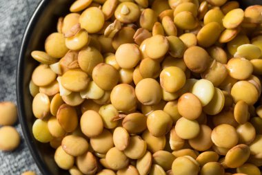 Ham organik taze mercimek