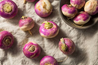 Ham organik mor şalgam