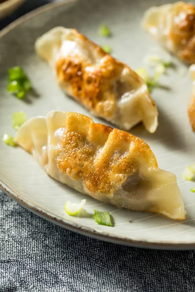 Hausgemachte koreanische Mandu Schweineknödel — Stockfoto