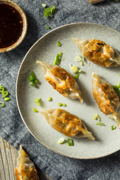 Hemlagad koreanska Mandu fläsk Dumplings — Stockfoto