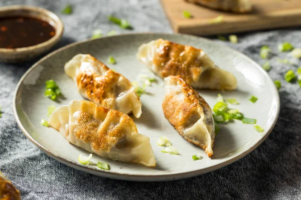 Domácí korejský Mandu vepřové knedlíky — Stock fotografie