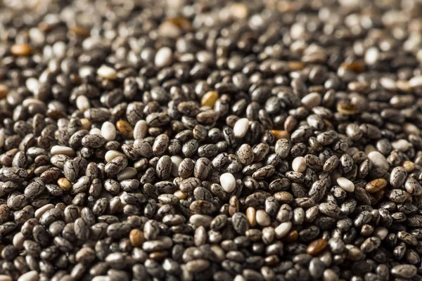 Πρώτες βιολογικά μαύρο σπόρους Chia — Φωτογραφία Αρχείου