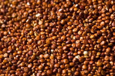 Kırmızı organik Quinoa Tahıl