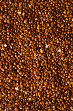 Kırmızı organik Quinoa Tahıl