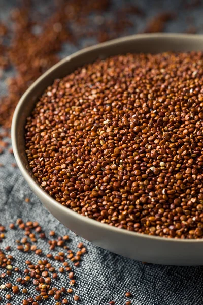 Κόκκινο Quinoa βιολογικά σιτηρά — Φωτογραφία Αρχείου