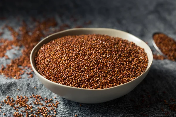 Rode Biologische Quinoa graan — Stockfoto