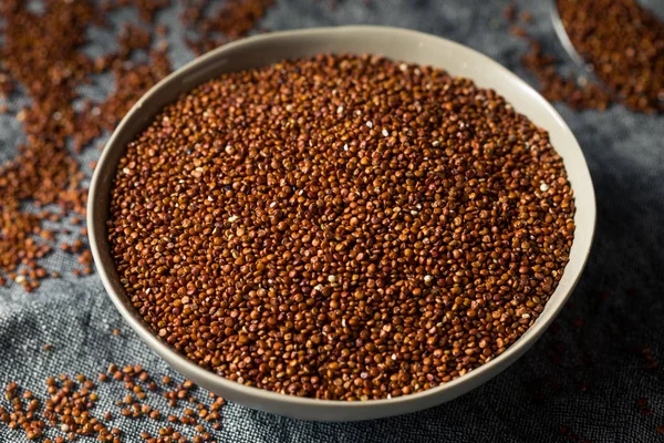 Rode Biologische Quinoa graan — Stockfoto