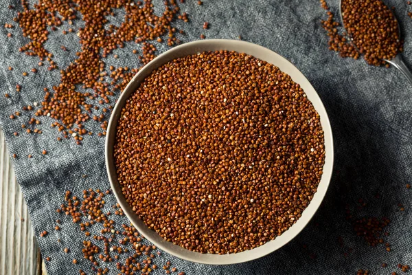 Grão de quinoa orgânico vermelho — Fotografia de Stock