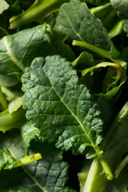 Ham yeşil organik bebek Kale