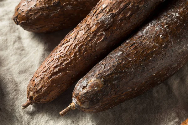 Raw Brown Organic Yucca Root — Stock Photo, Image