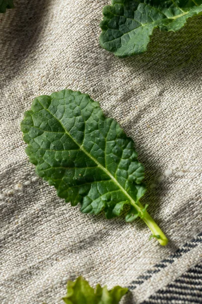 Cavolo verde crudo biologico per neonati — Foto Stock