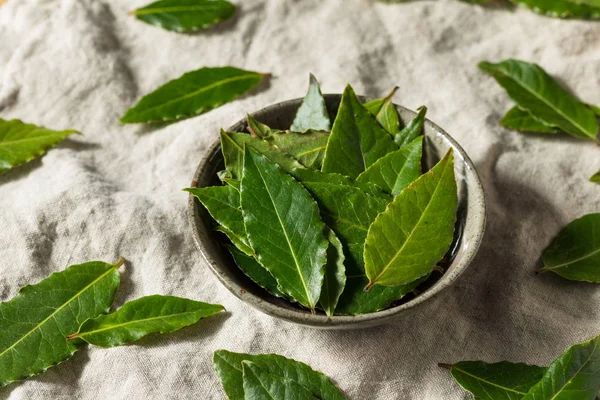 Rå grön ekologisk lagerblad — Stockfoto