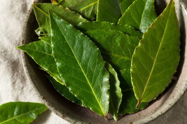 Hojas de laurel orgánicas verdes crudas —  Fotos de Stock