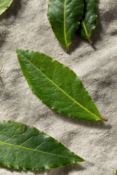 Hojas de laurel orgánicas verdes crudas —  Fotos de Stock