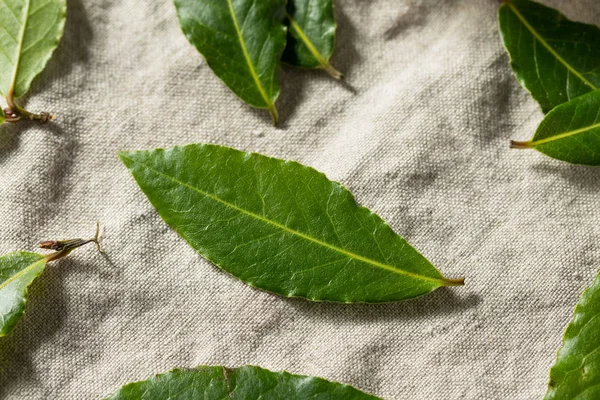 Raw Green Organic Bay Leaves