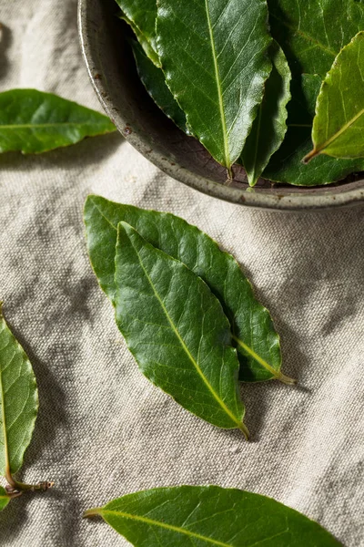 Hojas de laurel orgánicas verdes crudas —  Fotos de Stock