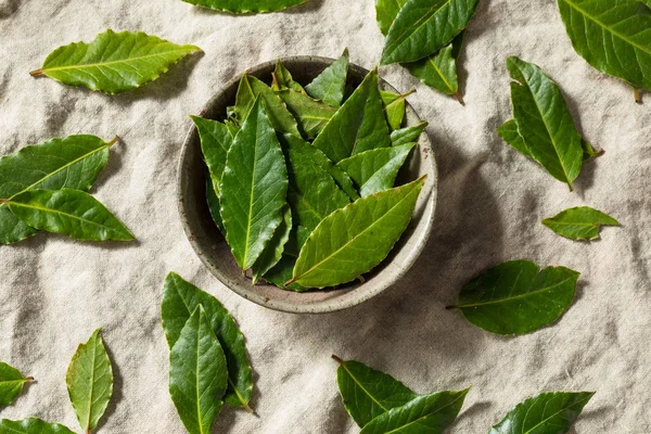 Hojas de laurel orgánicas verdes crudas — Foto de Stock