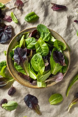 Ham yeşil organik bebek marul