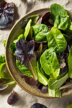 Ham yeşil organik bebek marul