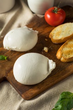 Ev yapımı beyaz İtalyan Burrata peynir
