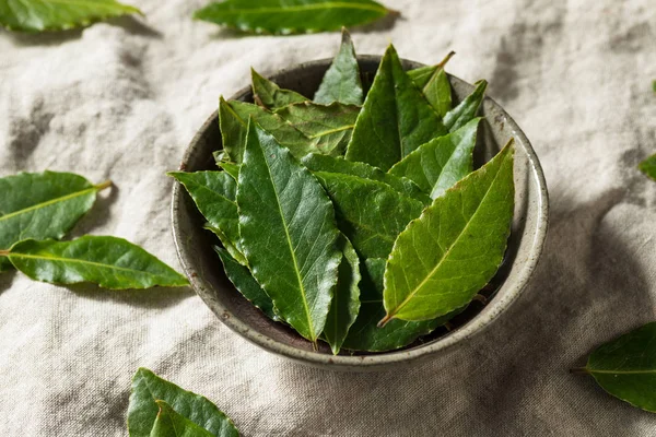 Rå grön ekologisk lagerblad — Stockfoto