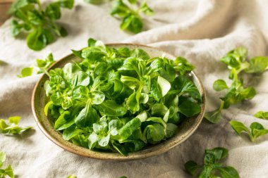 Ham yeşil organik Mache rozet