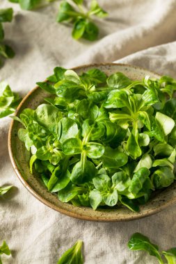 Ham yeşil organik Mache rozet