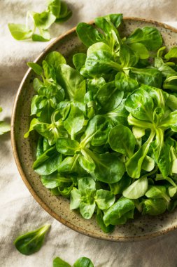 Ham yeşil organik Mache rozet