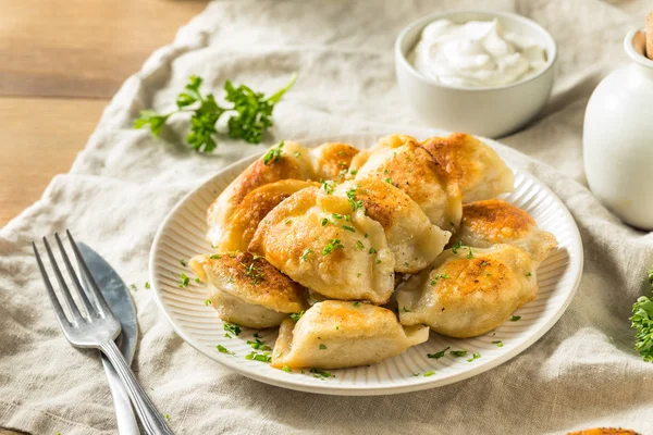 Hausgemachte gebratene polnische Kartoffelpierogis — Stockfoto