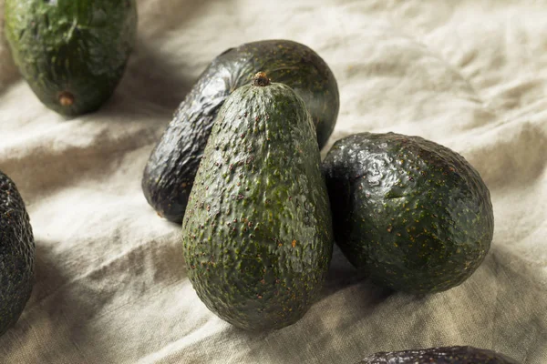 Органические зеленые авокадо — стоковое фото