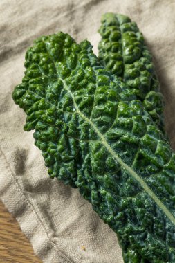 Sağlıklı organik yeşil Lacinato kale