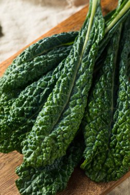 Sağlıklı organik yeşil Lacinato kale