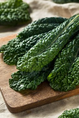 Sağlıklı organik yeşil Lacinato kale