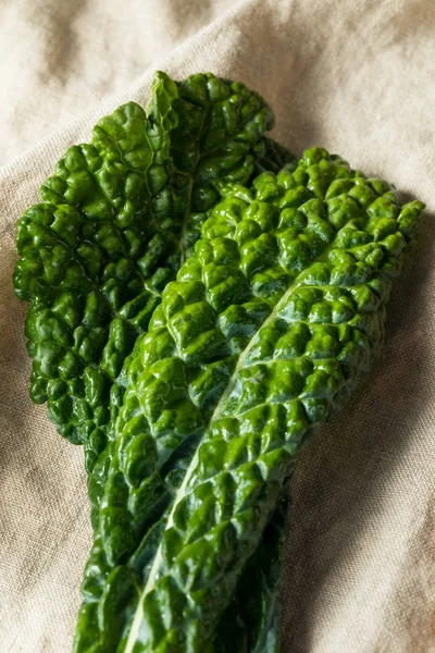 Sağlıklı organik yeşil Lacinato kale