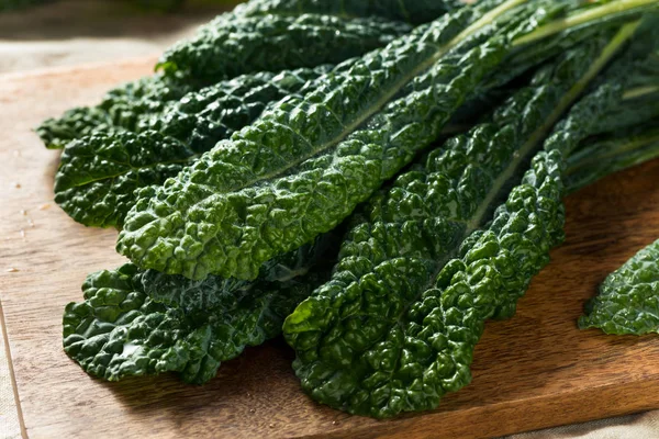 Zdravé organické zelené Lacinato Kale — Stock fotografie