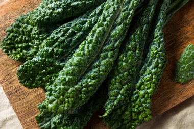 Sağlıklı organik yeşil Lacinato kale