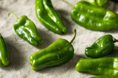 Ham yeşil organik baharatlı çingene biber